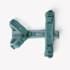 Blue - Velvet Dog Harness