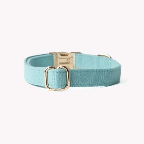 'Blue' - Canvas Dog Collar