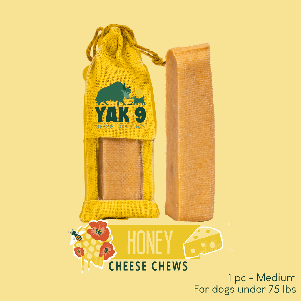 Honey Cheese Chews for Dogs