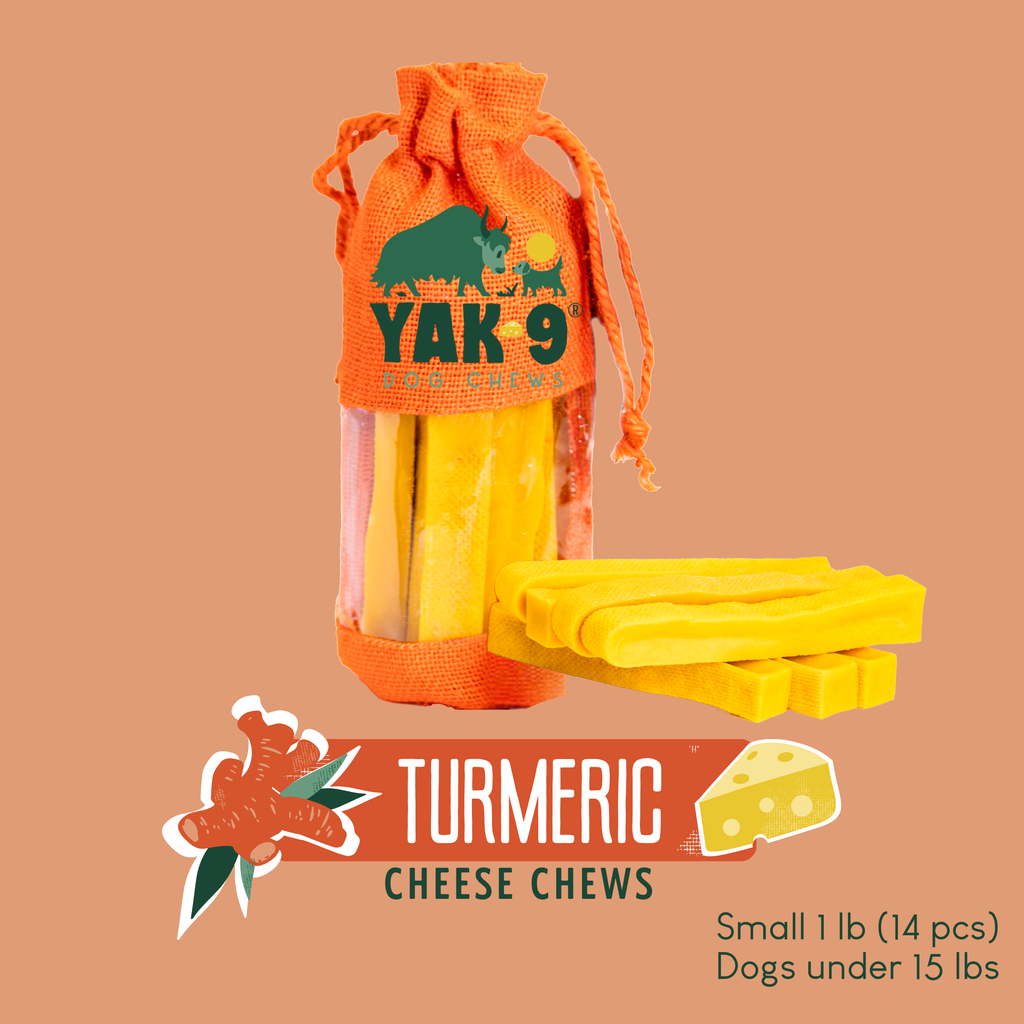 Turmeric Cheese Chews for Dogs