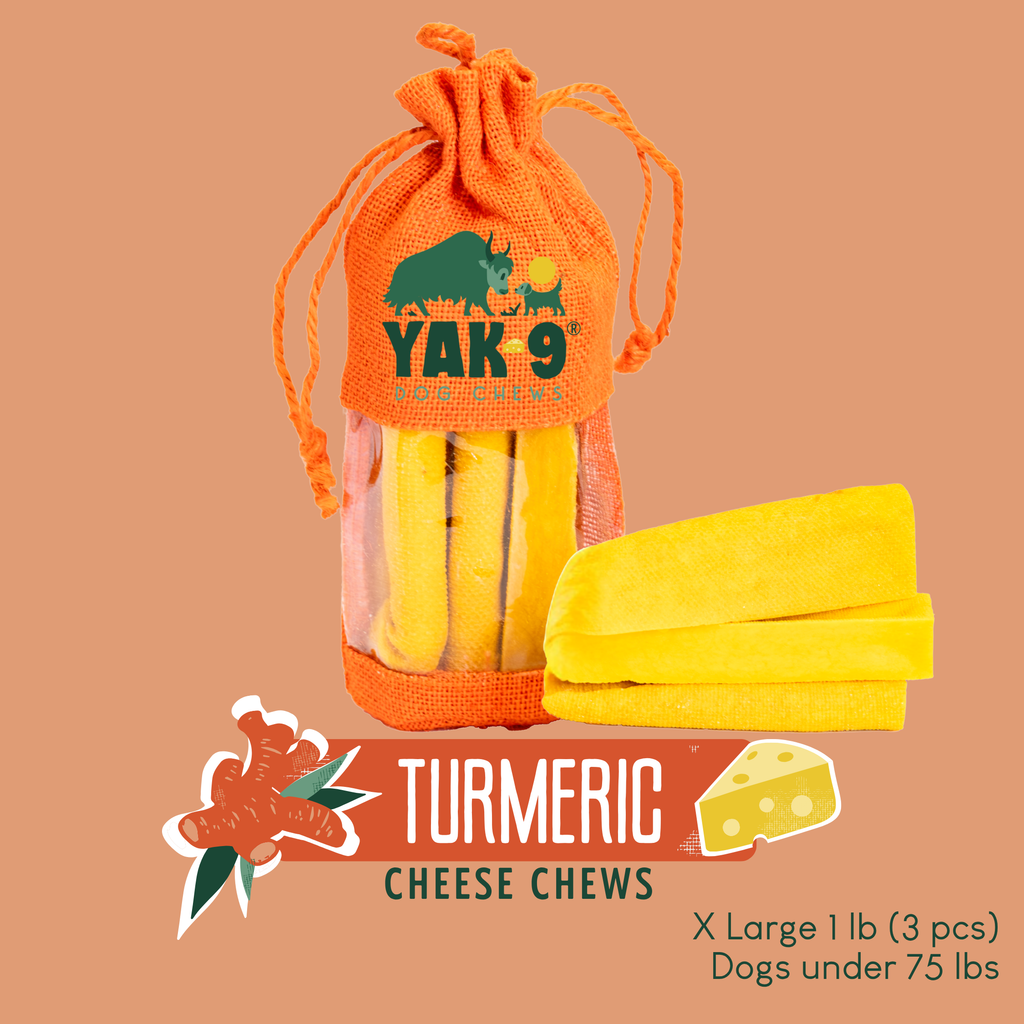 Turmeric Cheese Chews for Dogs