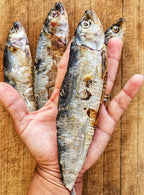 Dehydrated Wild-Caught Sardines for Cats & Dogs — 100% Single Ingredient | Raw Instincts Florida | Qty: 5 Fish