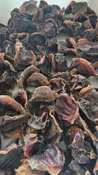 Dehydrated Turkey Gizzards for Cats & Dogs — 100% Single Ingredient | Raw Instincts Florida