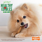 Nylabone Healthy Edibles All-Natural Long Lasting Roast Beef Dog Chew Treats (2pk) (1.5oz)