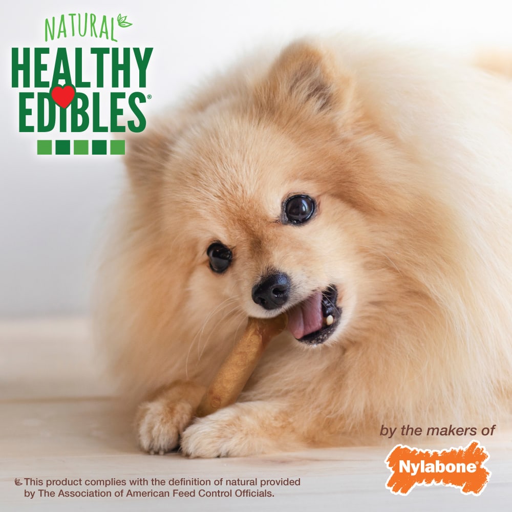 Nylabone Healthy Edibles All-Natural Long Lasting Roast Beef Dog Chew Treats (2pk) (1.5oz)