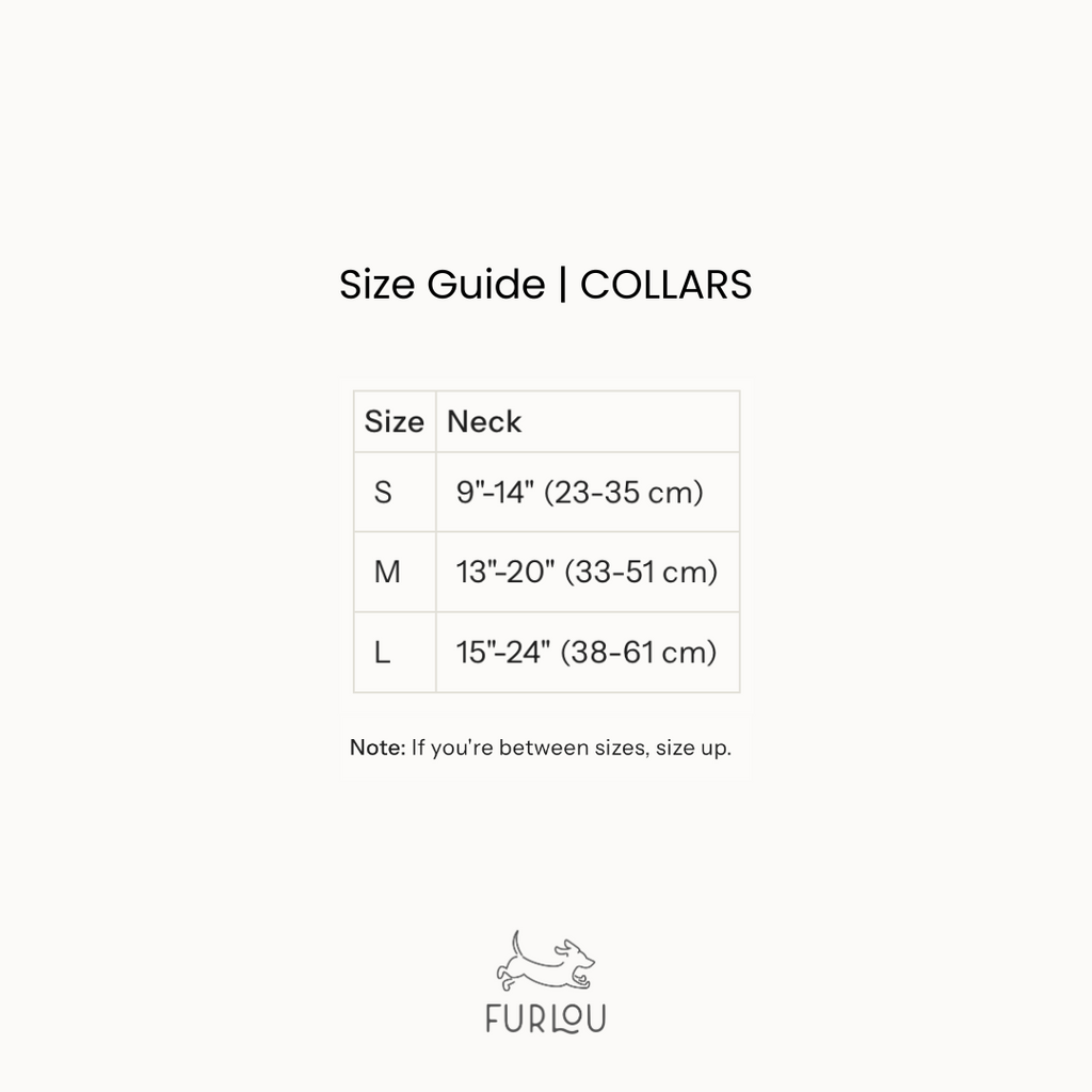 'Green' - Canvas Dog Collar
