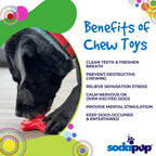 Starfish Nylon Dog Chew Toy for Aggressive Chewers | USA Made | SodaPup