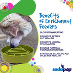 Pine Tree Christmas eBowl Deep Slow Feeder Dog Bowl for Enrichment | USA Made
