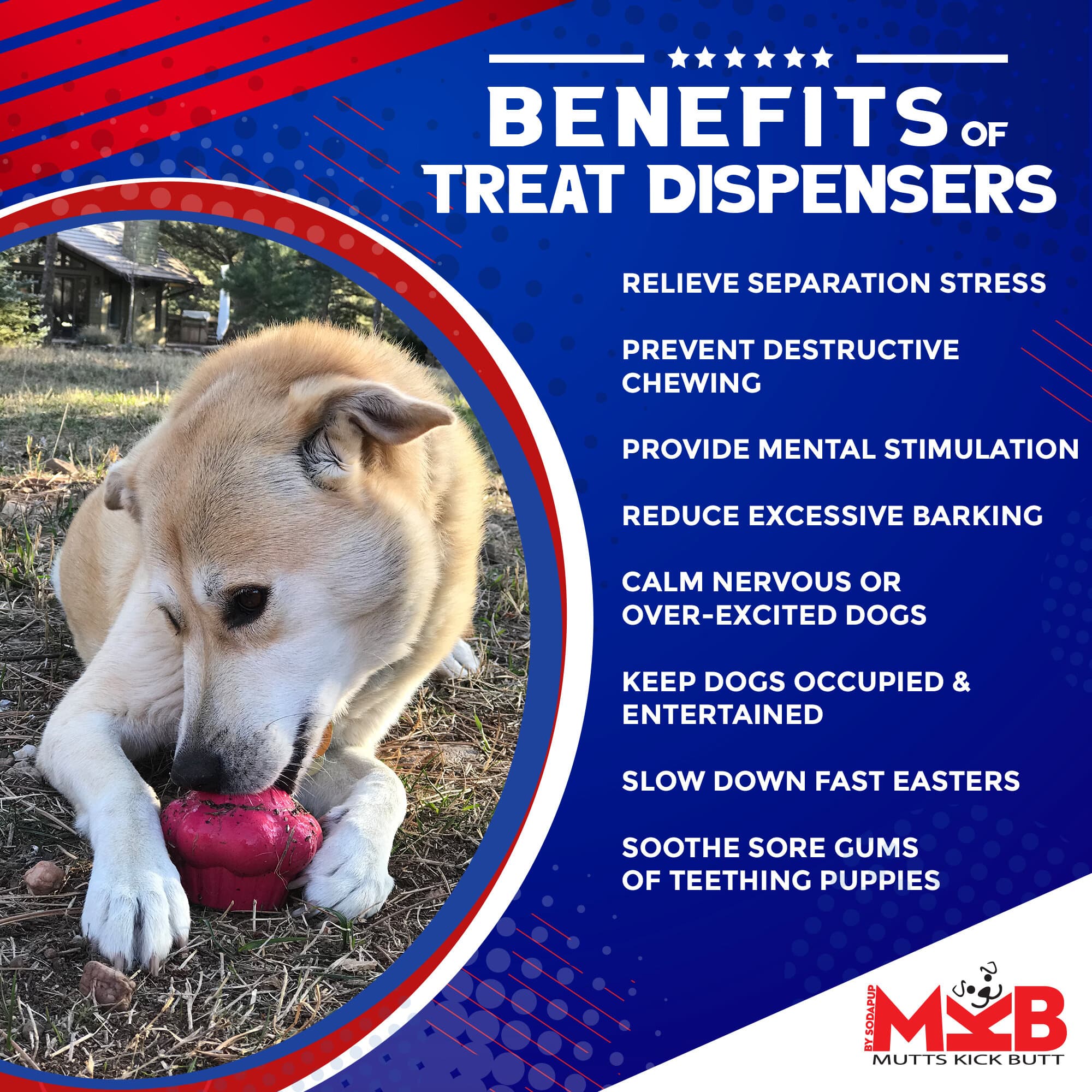 Cupcake eDispenser - Durable Rubber Chew Toy & Treat Dispenser | USA Made