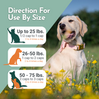 Hista Paws – with Quercetin for Dogs and Cats