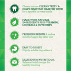 GREENIES Original Large Dental Treats
