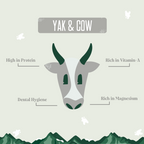 Yak and Cow Cheese Chews for Dogs