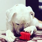 Heart on a String Dog Toy - Durable Rubber Tug Toy for Large Dogs | USA Made