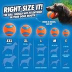 ChuckIt Dog Sport Launcher 25M