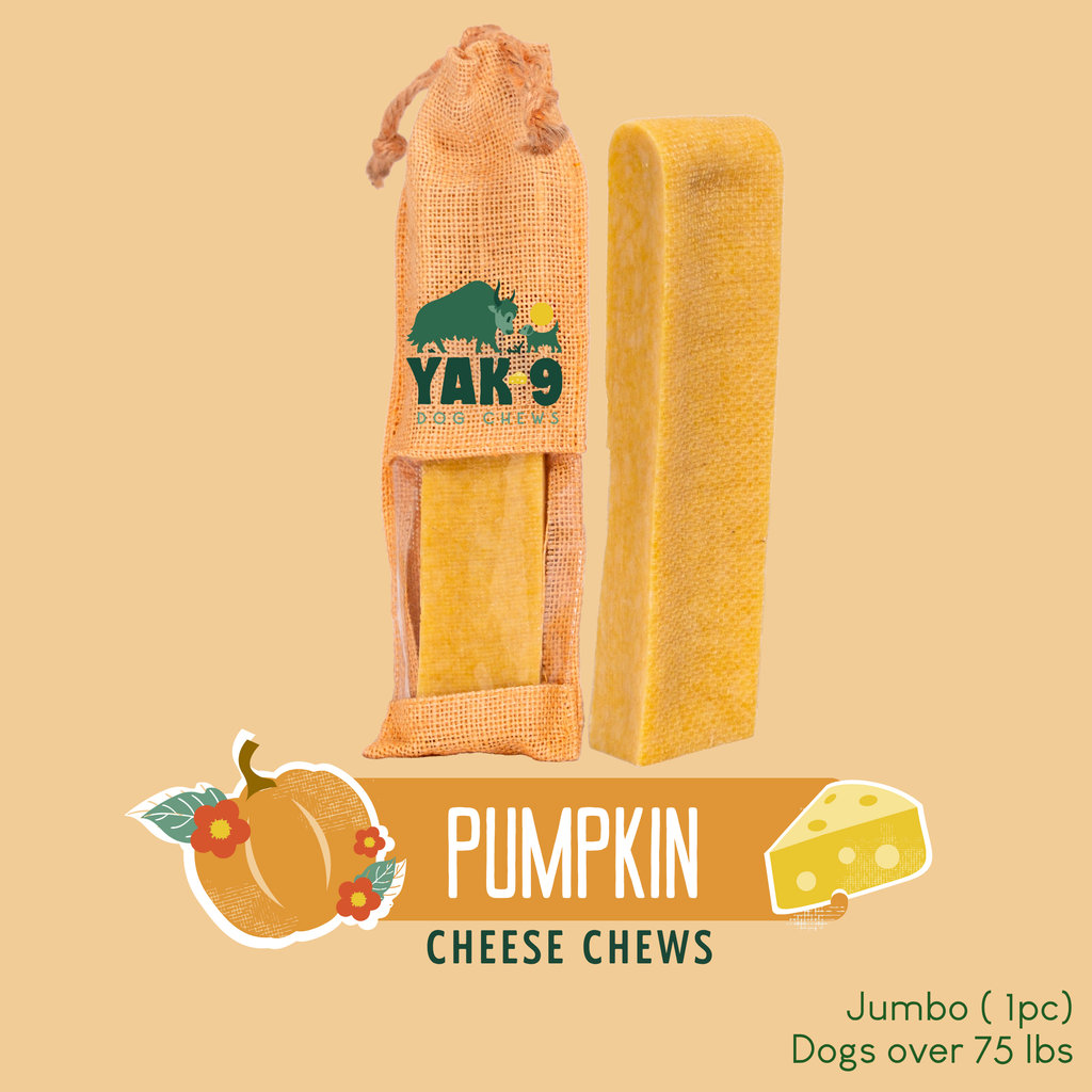 Pumpkin Cheese Chews for Dogs