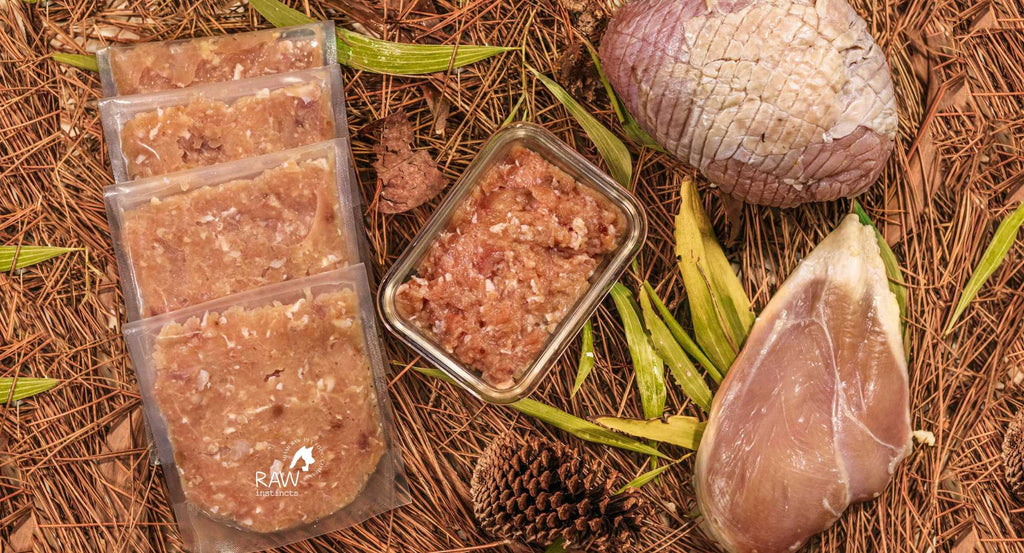 Raw Chicken & Turkey Meal Blend for Cats & Dogs — Prey Model Raw | Raw Instincts Florida