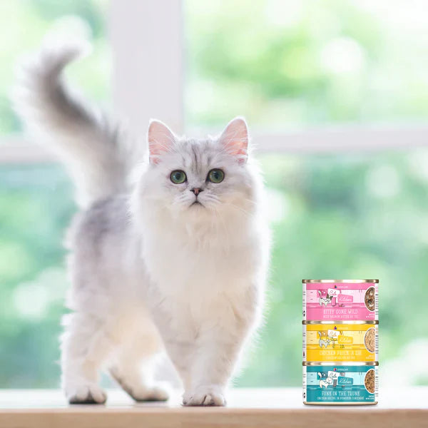Cats in the Kitchen Kitty Gone Wild Wild Salmon Recipe Au Jus