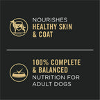 Pro Plan Complete Essentials Adult Chicken & Rice Entrée Classic Wet Dog Food (13oz)