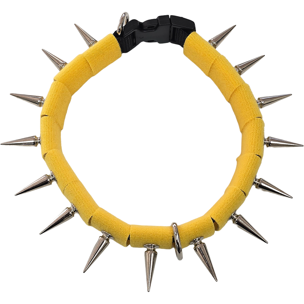 CoyoteCollar