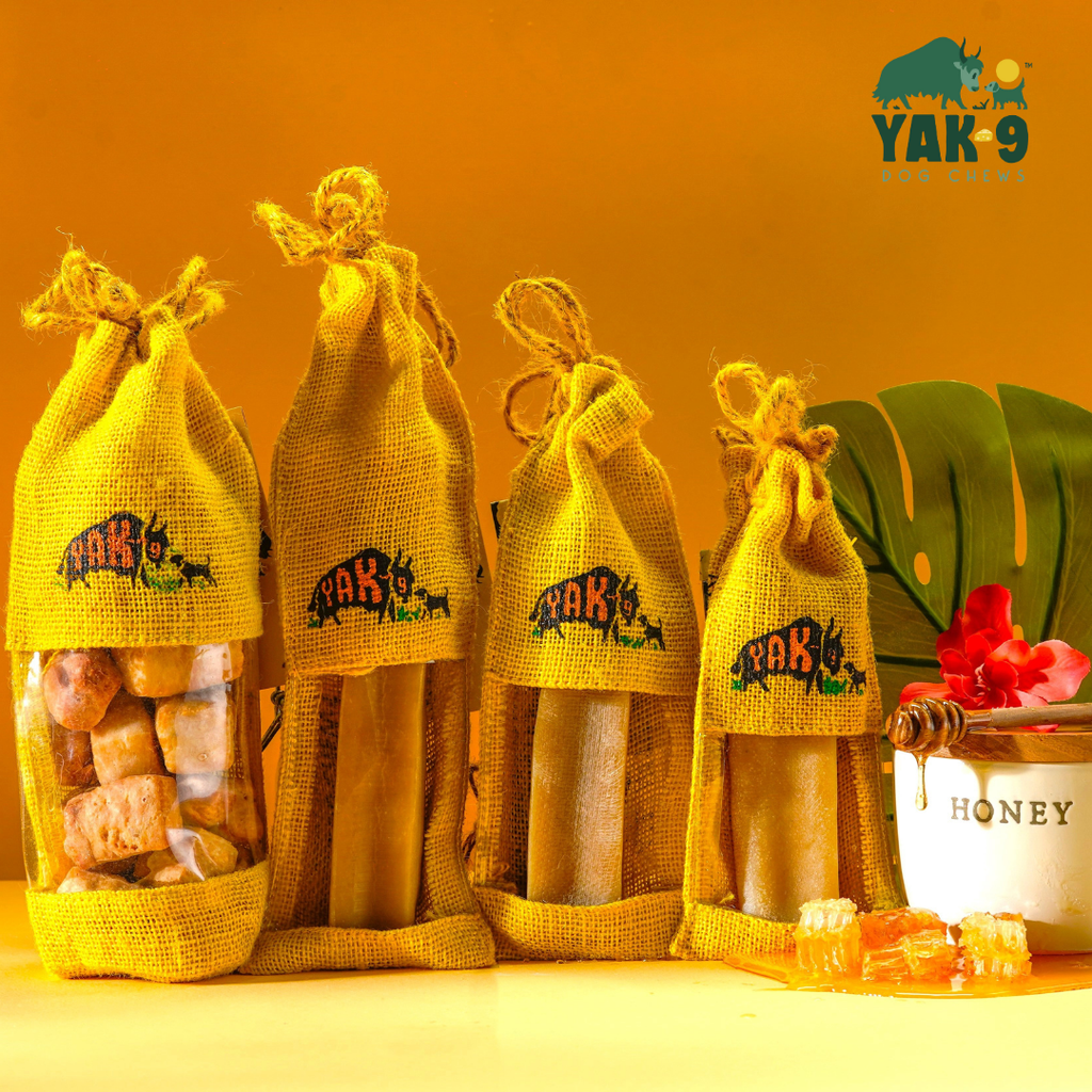 Honey Cheese Chews for Dogs