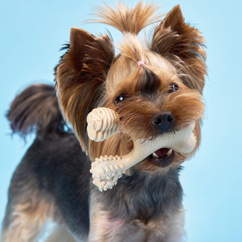 BetterBone SOFT Durability CHEW TOY: Natural Plant-Based Ingredients, Perfect for Teething Puppies, Senior Dogs & Gentle Chewers
