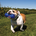 Kong Squeezz Dumbbell Large