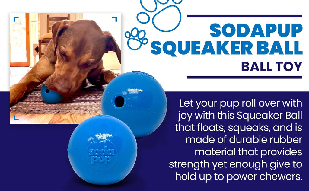 Squeak Ball - Durable Squeaky Dog Toy, Floats, Chew Toy | USA Made