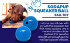 Squeak Ball - Durable Squeaky Dog Toy, Floats, Chew Toy | USA Made