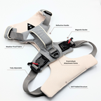 Magnetic Dog Harness - One-Hand Clip, No-Pull Design