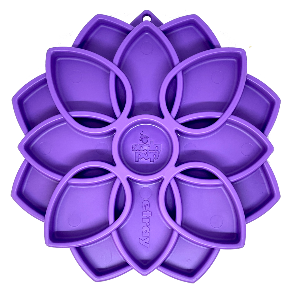 Mandala eTray Shallow Slow Feeder Dog Bowl for Enrichment | USA Made