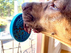 Turtle eMat-Mini Lick Mat with Suction Cups - Small Dogs & Cats | USA