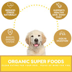 Dog Mamma's Organic Peanut Butter Banana Oven Baked Dog Treats (6oz)