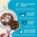 Earthborn Grain Free Wild Sea Catch Dry Cat Food