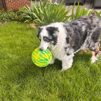 Kong Flexball Sport Ball XL