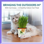 Pet Greens Organic Cat Grass