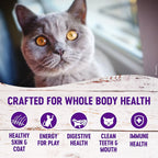 Wellness Complete Health Indoor Healthy Weight Chicken & Turkey Dry Cat Food (5.5lb)