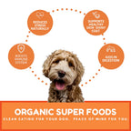 Dog Mamma's Organic Pumpkin Snaps Recipe Oven Baked Dog Treats (6oz)