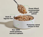 Open Farm Grain Free Puppy Chicken & Salmon Pate Wet Dog Food (12.5oz)