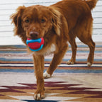 Kong Jaxx Brights Tug w/Ball Medium