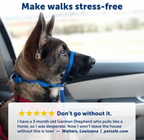 Petsafe Gentle Leader® Headcollar, No-Pull Dog Collar Black Small