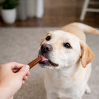 Smartpup Chews