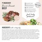 Honest Kitchen Clusters Whole Grain Beef & Oat Dog