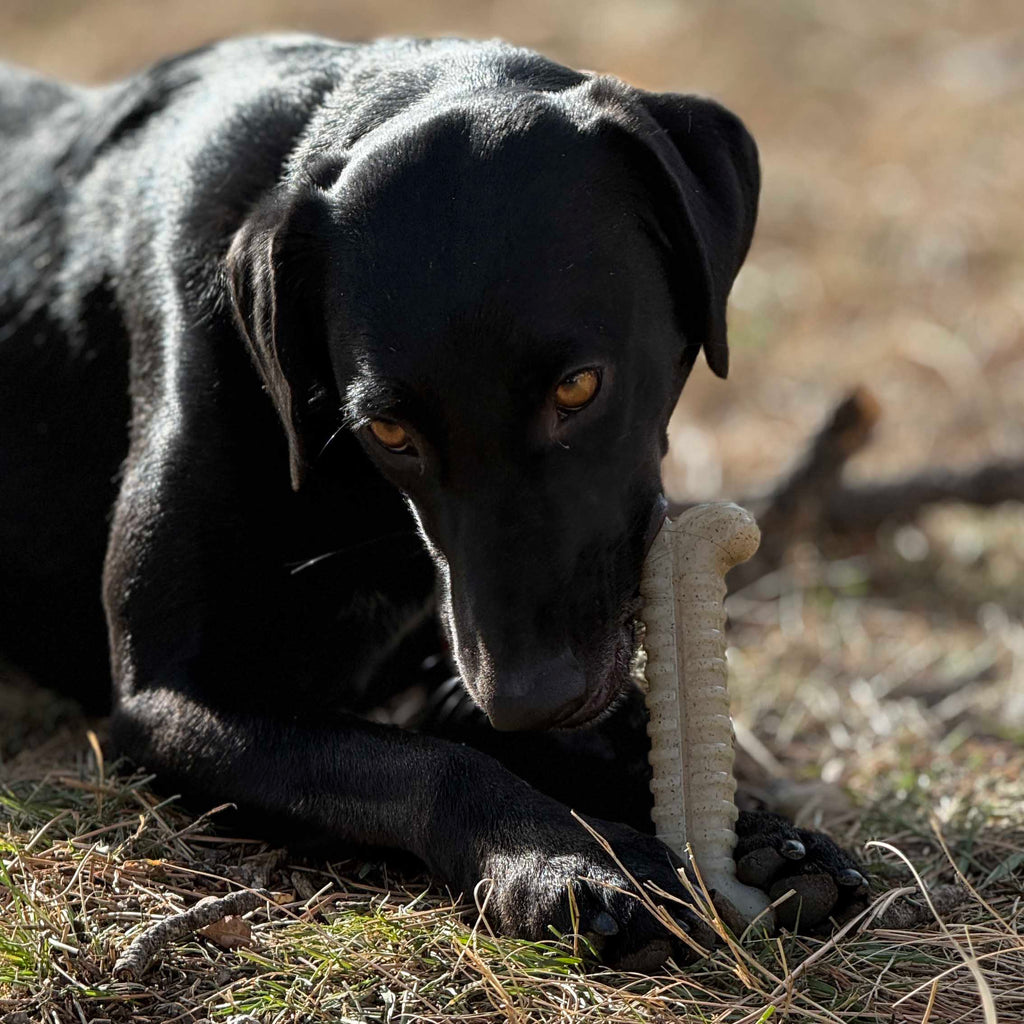 Tough Bone Nylon Chew Bone | Ultra-Durable Dog Toy for Aggressive Chewers | SodaPup