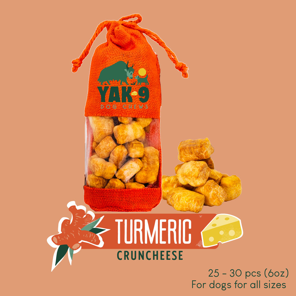 Turmeric Cheese Chews for Dogs