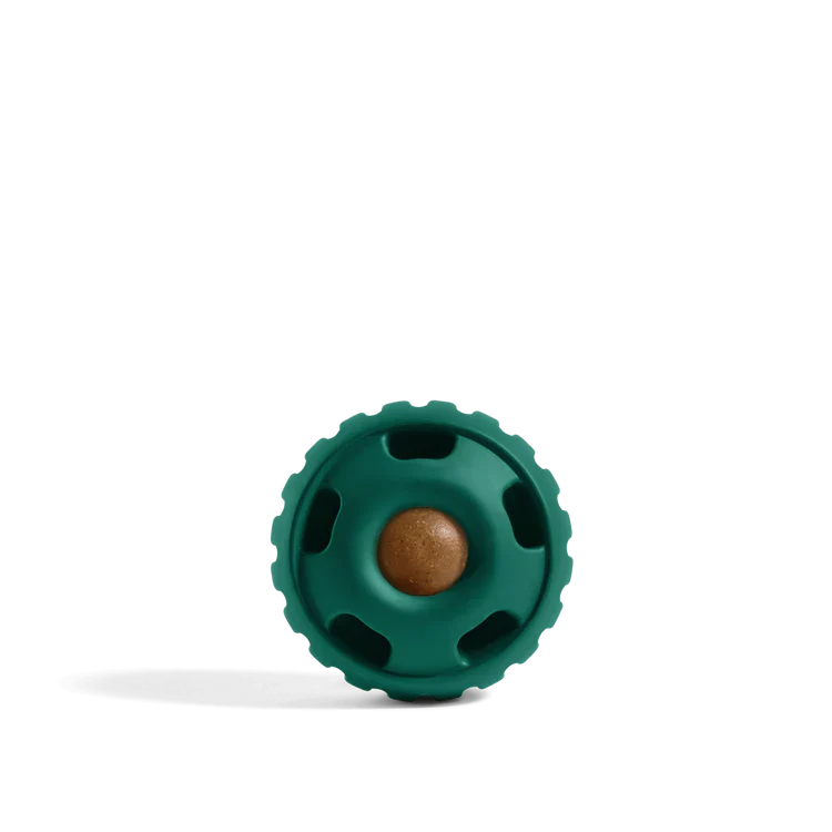 Woof Dog Pupsicle Green Large Dog Toy