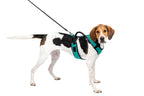 Petsafe Easysport Harness Teal Lg