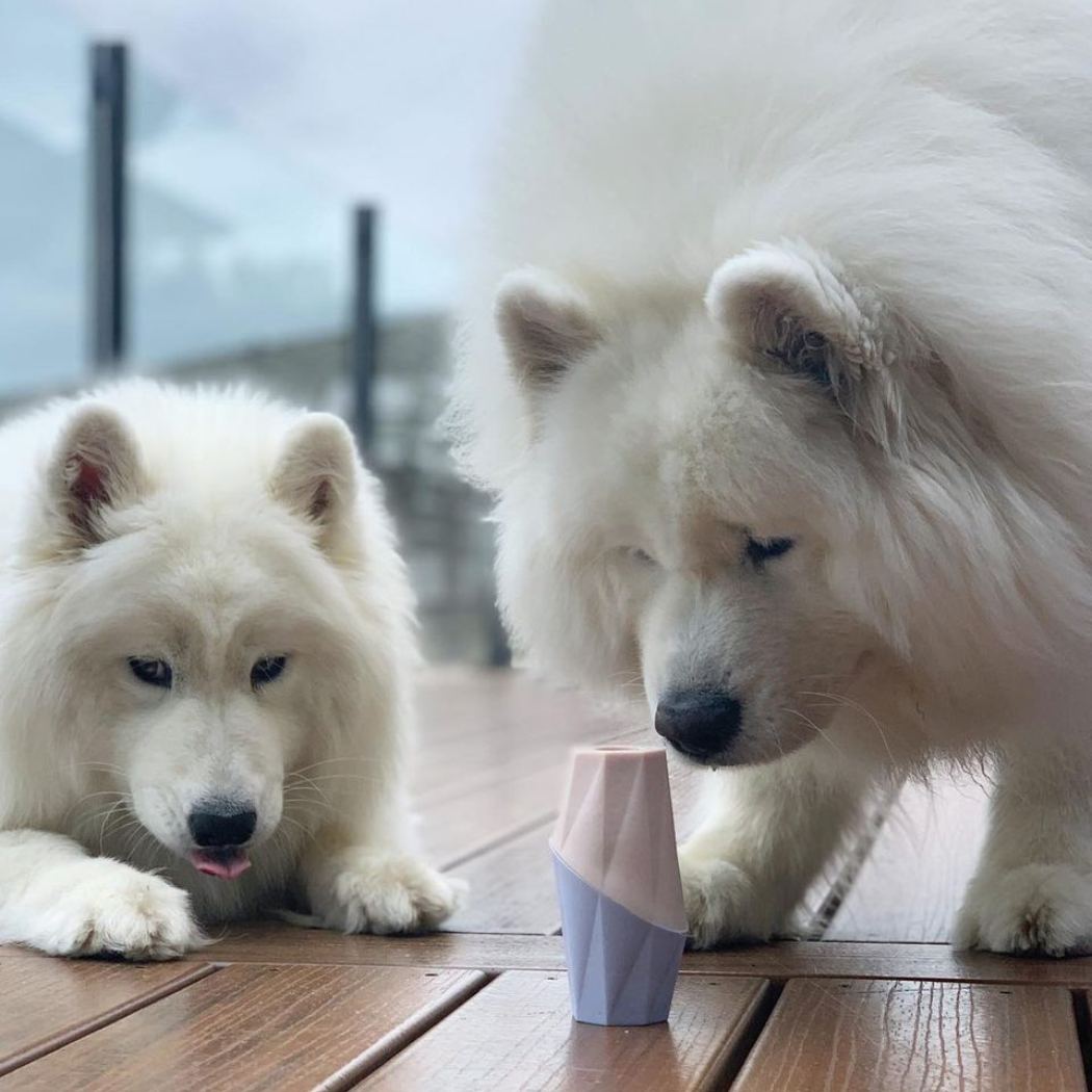 The Ubbe Modern Dog Licking Toy