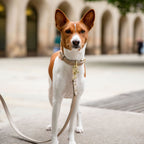 Leash 4ft - Vegan Leather - Milan