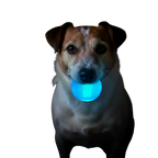Strobe Ball Light-Up Dog Toy - Durable Floating Chew Ball | Made in USA